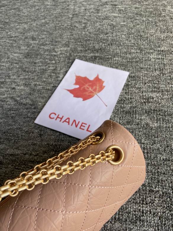 Chanel Bag Wallets on Chain 881377ZP 24cm AL