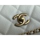 Chanel Bag Wallets on Chain AS3467 20x23x8cm AL