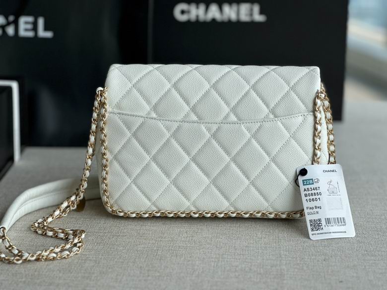 Chanel Bag Wallets on Chain AS3467 20x23x8cm AL