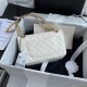 Chanel Bag Chanel 2.55 889201 16x24x7.5cm AL