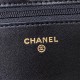 Chanel Bag Wallets on Chain AP1450 19cm AL