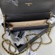 Chanel Bag Wallets on Chain AP1450 19cm AL