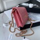 Chanel Bag Wallets on Chain AP1450 19cm AL