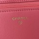 Chanel Bag Wallets on Chain AP1450 19cm AL