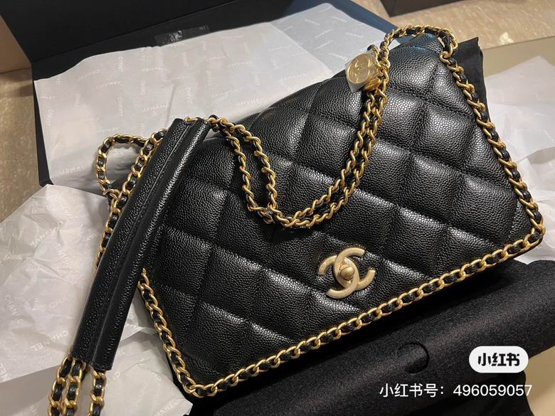 Chanel Bag Wallets on Chain AS3467 20x23x8cm AL