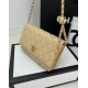 Chanel Bag Chain AP145004 19.5X12.5X3.5cm