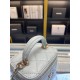 Chanel Bag Beauty sAP219801 11x8.5x7cm