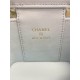 Chanel Bag Beauty sAP219801 11x8.5x7cm