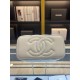 Chanel Bag Beauty sAP219905 17x9.5x8cm