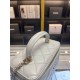 Chanel Bag Beauty sAP219905 17x9.5x8cm