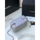 Chanel Bag Beauty sAP230304 17x9.5x8cm