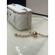 Chanel Bag Beauty sAP230305 17x9.5x8cm