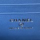 Chanel Bag Beauty sAP320401 17X9.5X8cm