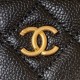 Chanel Bag Beauty sAP320403 17X9.5X8cm