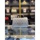 Chanel Bag AS2431 20X14X7CM al