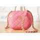 Chanel Bag Beauty sAS306605