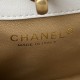 Chanel Bag AS3111 16x19.5x8.5cm AL