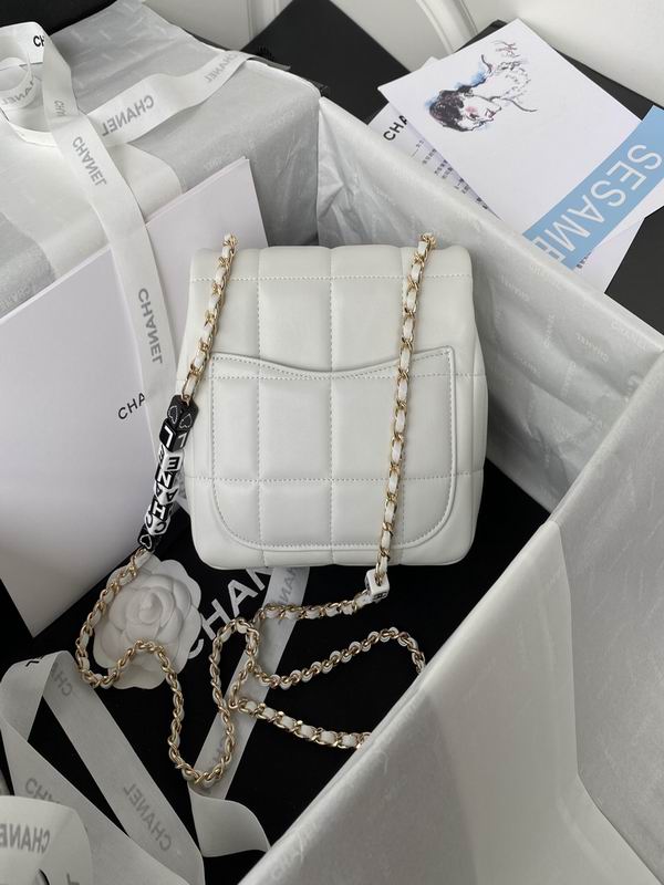 Chanel Bag AS3330 17X14X7cm al