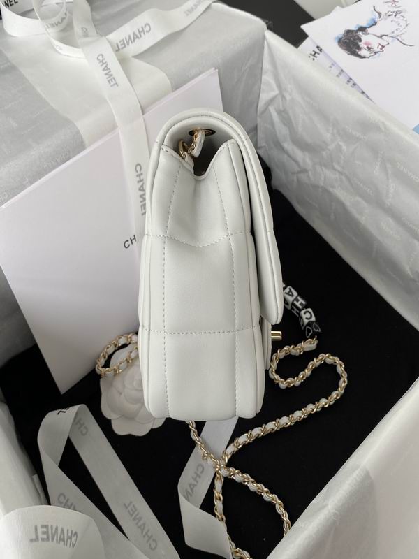 Chanel Bag AS3330 17X14X7cm al