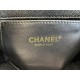 Chanel Bag AS3580 13x20x9.5cm ALa