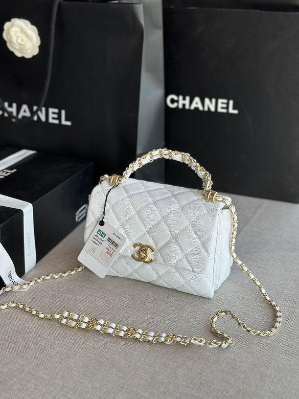 Chanel Bag AS3580 13x20x9.5cm AL