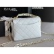 Chanel Bag AS3580 13x20x9.5cm AL