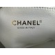 Chanel Bag AS3580 13x20x9.5cm AL