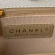 Chanel Bag HOBOAS369002 21.5X22.5X7cm