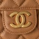 Chanel Bag HOBOAS369003 21.5X22.5X7cm