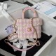 Chanel Bag Beauty sAS397307 12.5X15X8cm