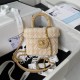 Chanel Bag Beauty sAS397308 12.5X15X8cm