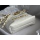 Chanel Bag AS3989 25x22x6.5cm AL