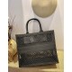 Dior Book Tote  AXM1286 41