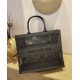 Dior Book Tote  AXM1286 41