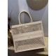 Dior Book Tote  AXM1286 41