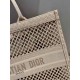 Dior Book Tote  AXM1286 41