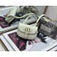 Dior Bobby  AX6417 11.5X8X3