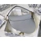 Dior Saddle women bag  DIOR S9001 25.5x20x6.5cm yz2