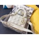 Dior Bag M0538_3 20X16.5X8cm CN