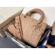 Dior Bag M0538_6 20X16.5X8cm CN