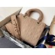 Dior Bag M0538_6 20X16.5X8cm CN