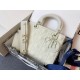 Dior Bag M0538_7 20X16.5X8cm CN