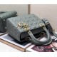 Dior Bag  2242 24cm yz