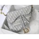 Dior Saddle women bag DIOR M9001 25.5x20x6.5cm yz.