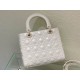 Dior Bag  Lady 24cm yz1