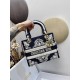 Dior Bag Lady 24x20x11cm yz