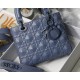 Dior Bag Lady M6004 20x16.5x8cm yz