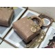 Dior Bag 8203A Lady Mini 17cm yz