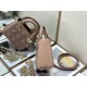 Dior Bag 8203A Lady Mini 17cm yz