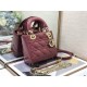 Dior Bag 8203A Lady Mini 17cm yz